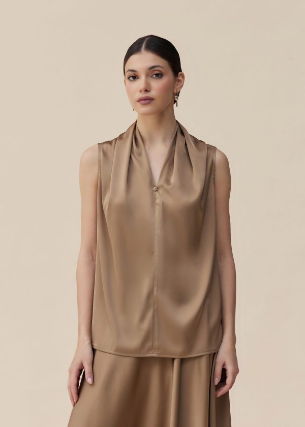 Dark Brown Top